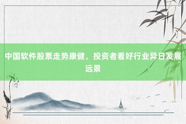 中国软件股票走势康健，投资者看好行业异日发展远景