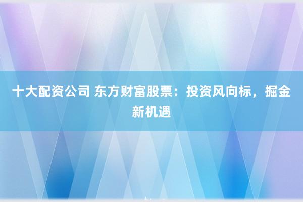十大配资公司 东方财富股票：投资风向标，掘金新机遇