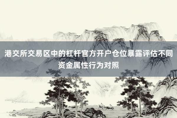 港交所交易区中的杠杆官方开户仓位暴露评估不同资金属性行为对照