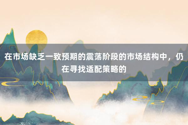 在市场缺乏一致预期的震荡阶段的市场结构中，仍在寻找适配策略的