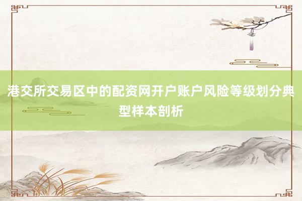 港交所交易区中的配资网开户账户风险等级划分典型样本剖析