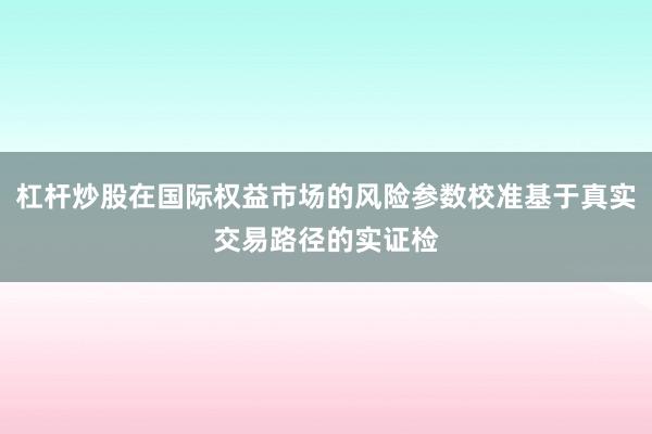 杠杆炒股在国际权益市场的风险参数校准基于真实交易路径的实证检
