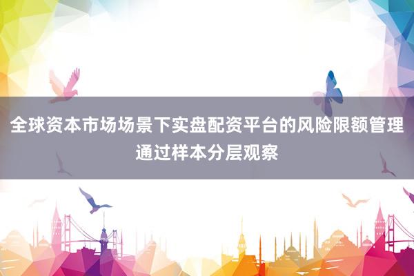 全球资本市场场景下实盘配资平台的风险限额管理通过样本分层观察
