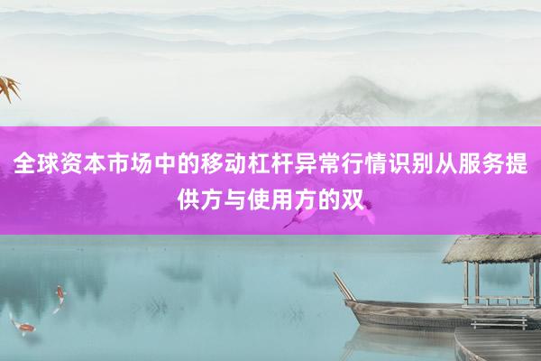 全球资本市场中的移动杠杆异常行情识别从服务提供方与使用方的双