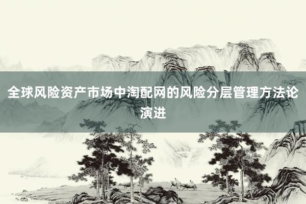 全球风险资产市场中淘配网的风险分层管理方法论演进