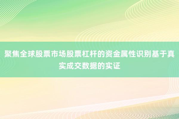 聚焦全球股票市场股票杠杆的资金属性识别基于真实成交数据的实证