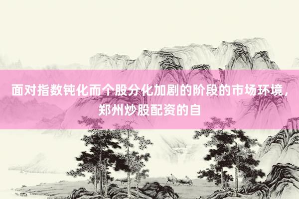 面对指数钝化而个股分化加剧的阶段的市场环境，郑州炒股配资的自