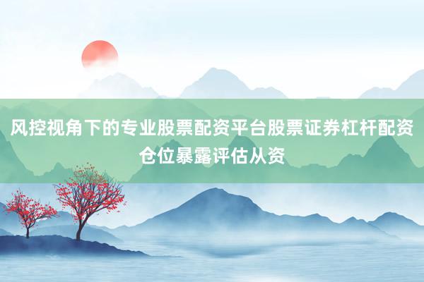 风控视角下的专业股票配资平台股票证券杠杆配资仓位暴露评估从资